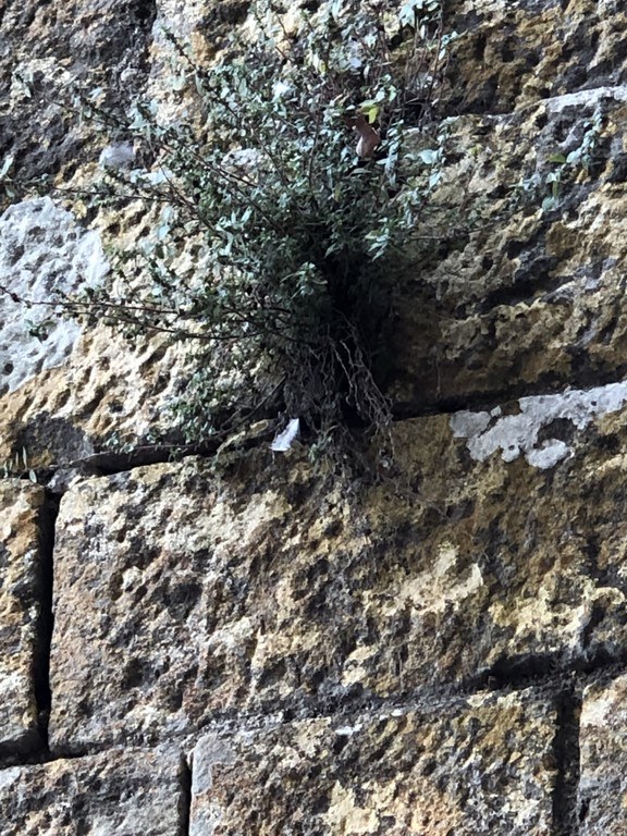 détail